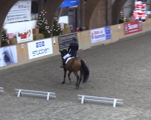 Reitturnier Leck 2021