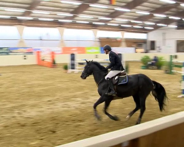 Indoor-Opening Damme 2014