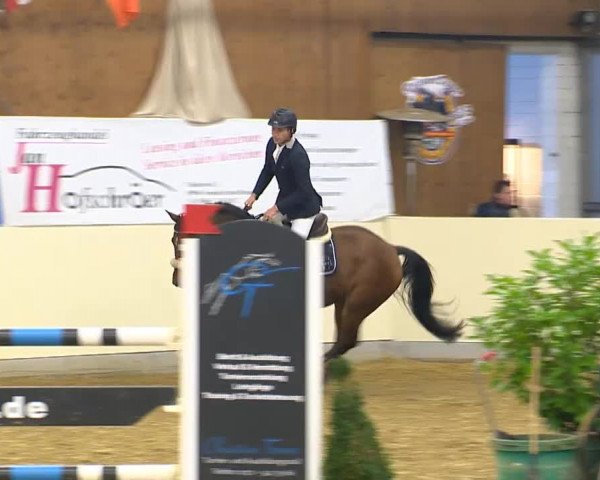 Indoor-Opening Damme 2014