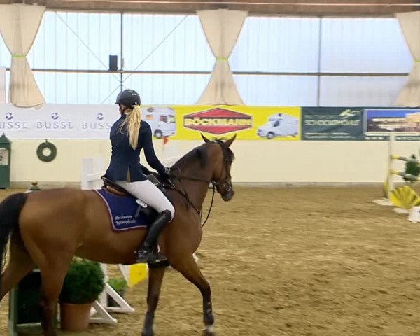 Indoor-Opening Damme 2014