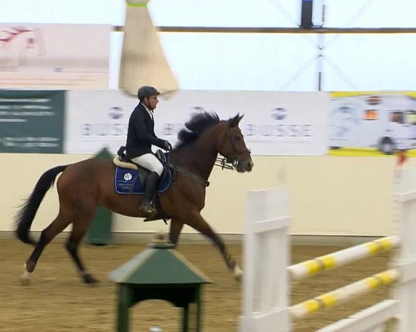 Indoor-Opening Damme 2014