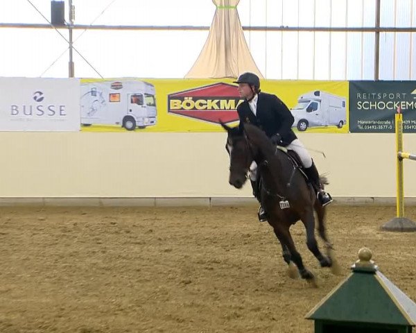Indoor-Opening Damme 2014