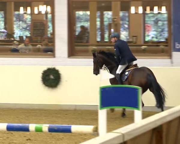 Indoor-Opening Damme 2014