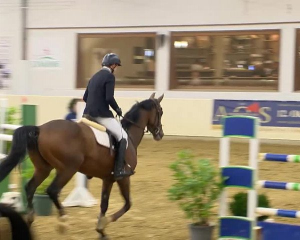 Indoor-Opening Damme 2014