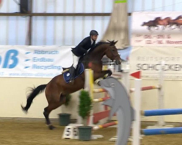 Indoor-Opening Damme 2014