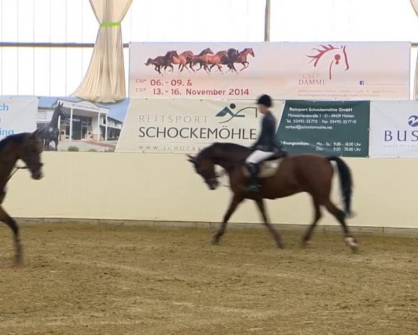 Indoor-Opening Damme 2014