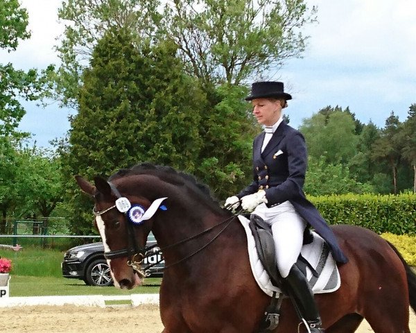 broodmare Romy Lou K (Hanoverian, 2006, from Rascalino)