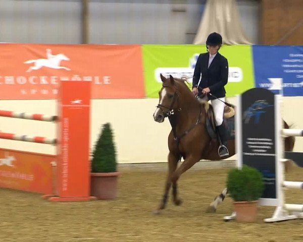 Indoor-Opening Damme 2014