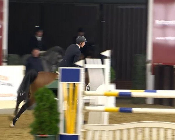 Indoor-Opening Damme 2014