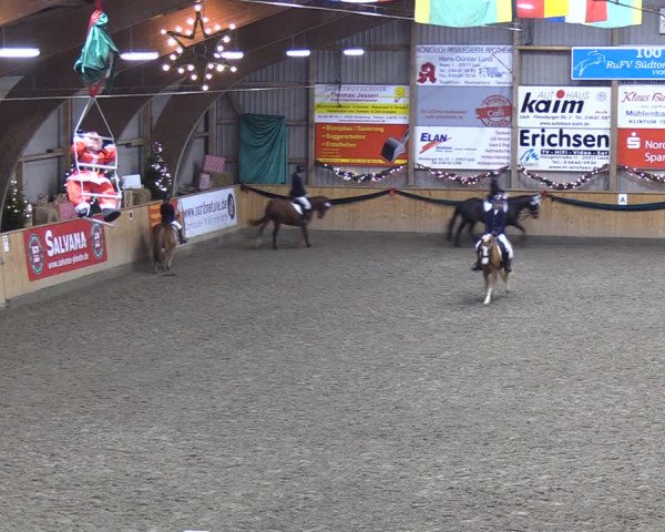 Reitturnier Leck 2021