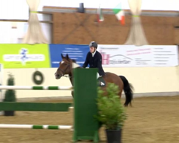 Indoor-Opening Damme 2014