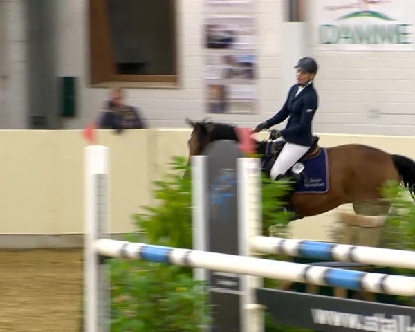 Indoor-Opening Damme 2014