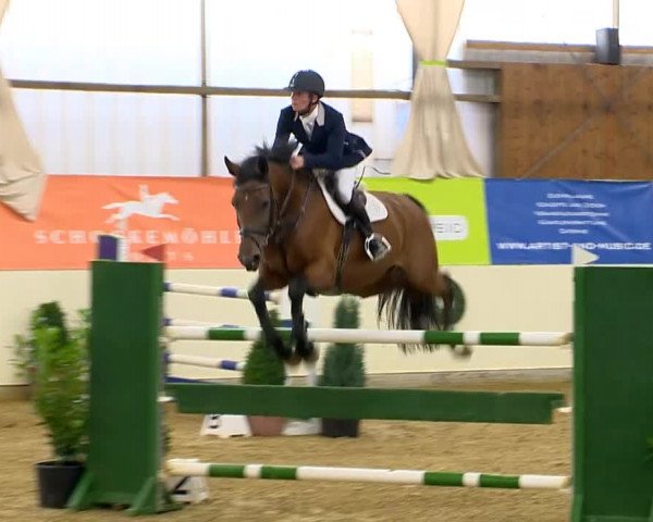 Indoor-Opening Damme 2014