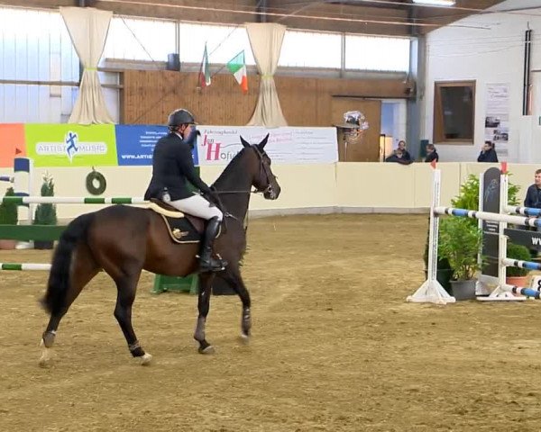 Indoor-Opening Damme 2014