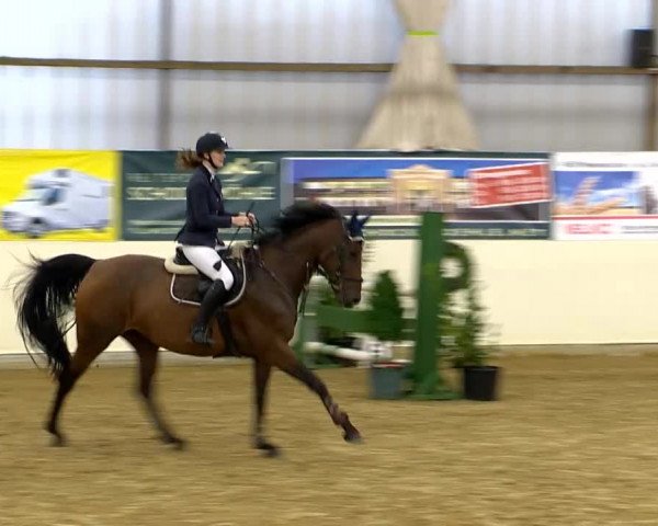 Indoor-Opening Damme 2014