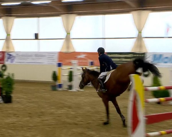 Indoor-Opening Damme 2014