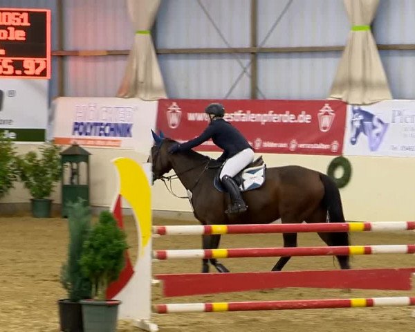 Indoor-Opening Damme 2014