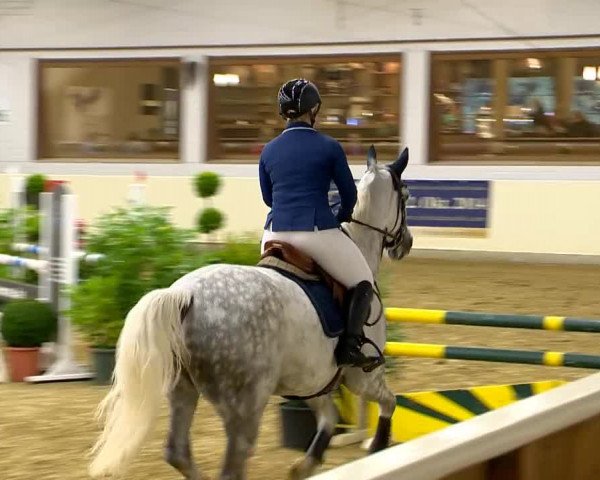 Indoor-Opening Damme 2014