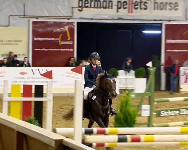 Indoor-Opening Damme 2014
