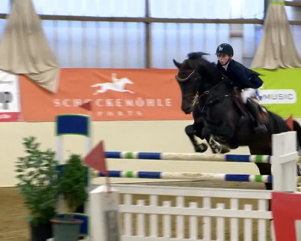 Indoor-Opening Damme 2014