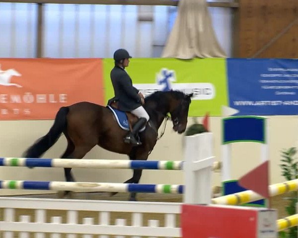 Indoor-Opening Damme 2014
