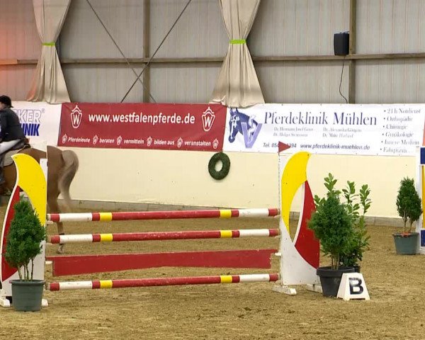 Indoor-Opening Damme 2014