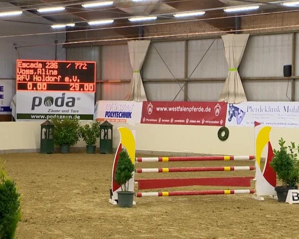 Indoor-Opening Damme 2014