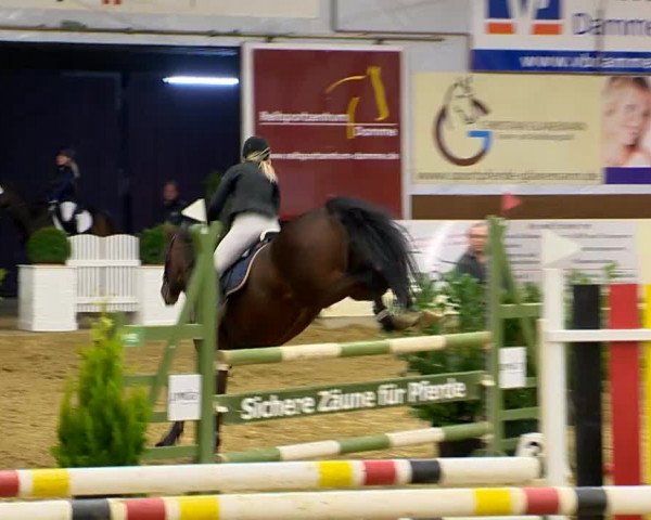 Indoor-Opening Damme 2014
