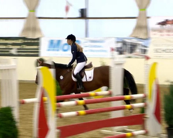 Indoor-Opening Damme 2014
