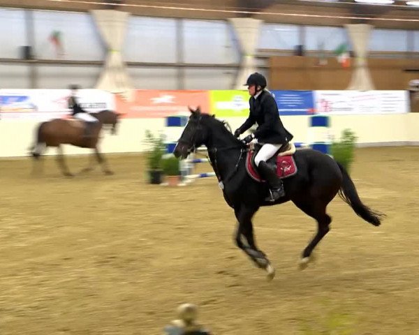 Indoor-Opening Damme 2014