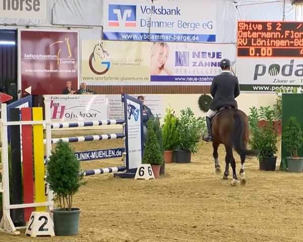 Indoor-Opening Damme 2014