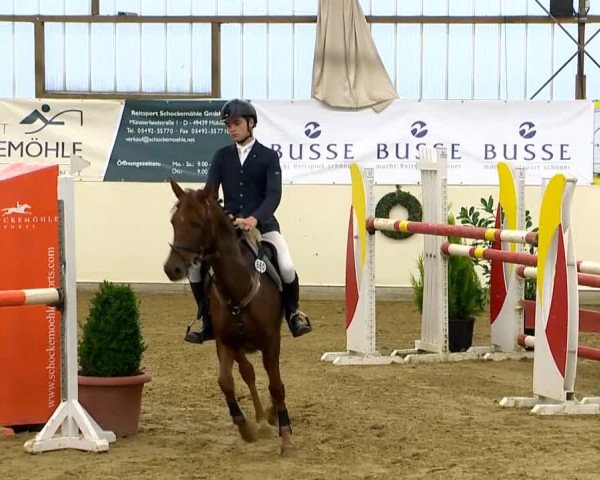 Indoor-Opening Damme 2014