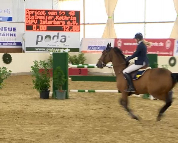 Indoor-Opening Damme 2014