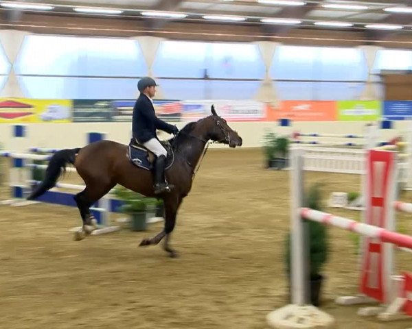 Indoor-Opening Damme 2014