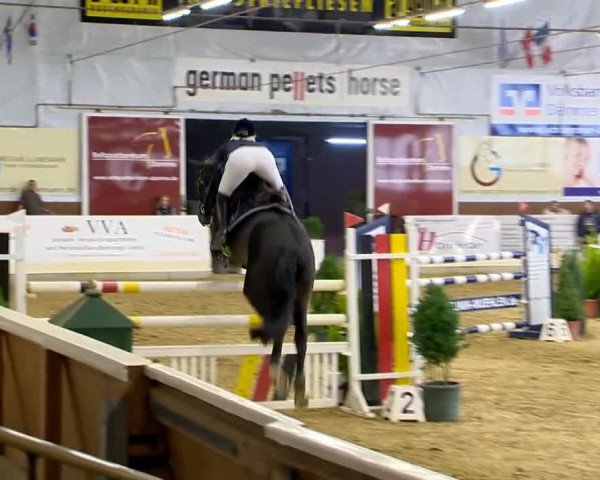 Indoor-Opening Damme 2014