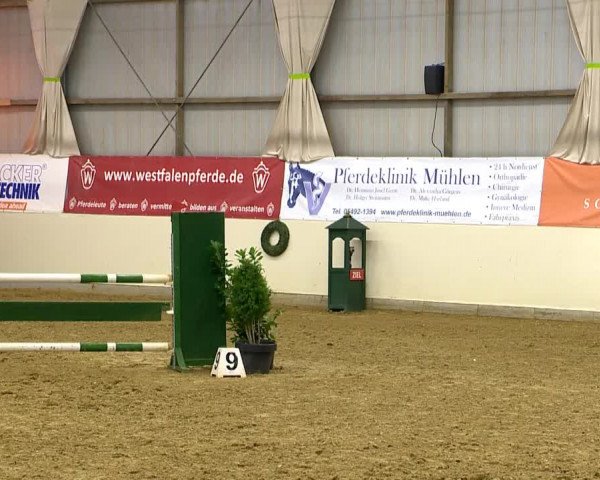 Indoor-Opening Damme 2014