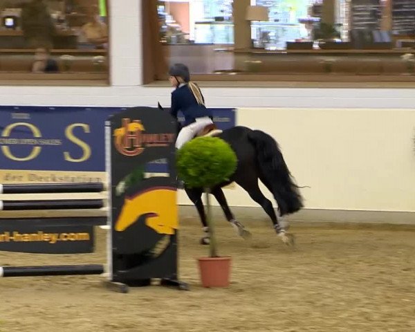Indoor-Opening Damme 2014
