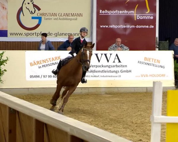 Indoor-Opening Damme 2014