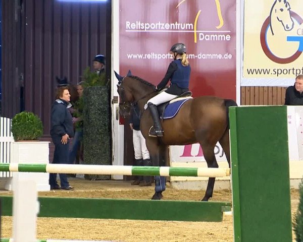 Indoor-Opening Damme 2014