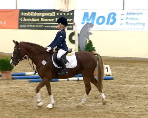Indoor-Opening Damme 2014