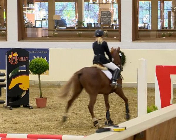 Indoor-Opening Damme 2014