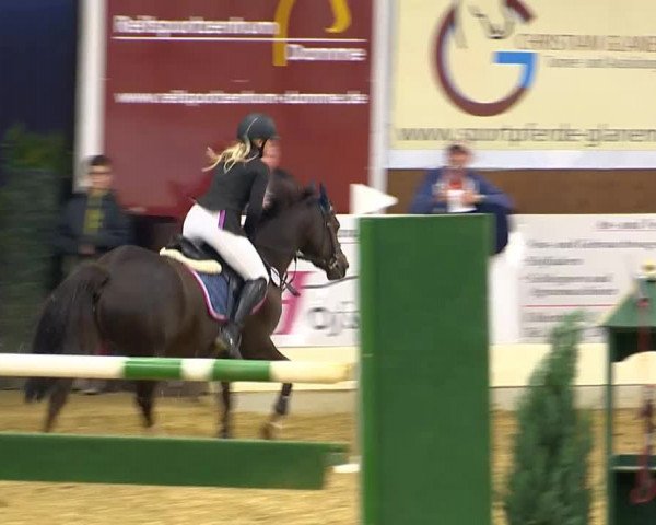 Indoor-Opening Damme 2014
