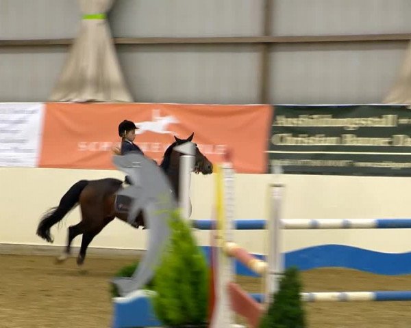 Indoor-Opening Damme 2014