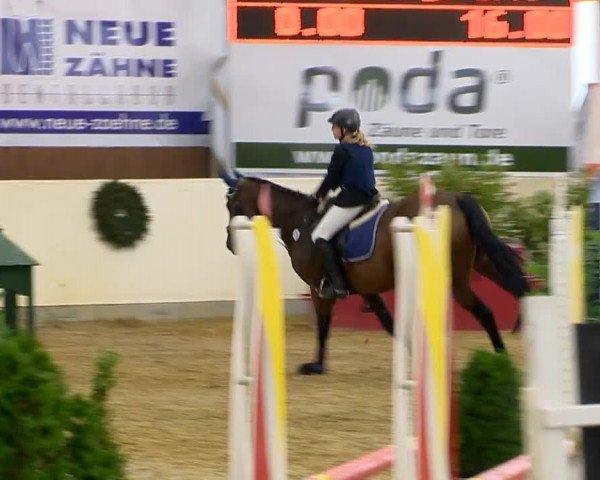 Indoor-Opening Damme 2014