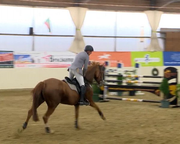 Indoor-Opening Damme 2014