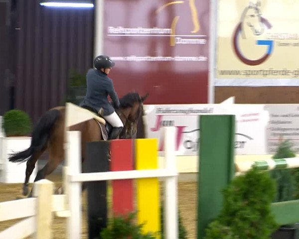 Indoor-Opening Damme 2014