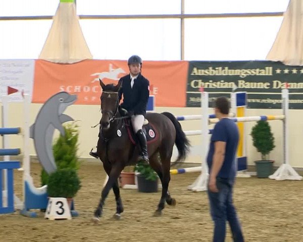 Indoor-Opening Damme 2014