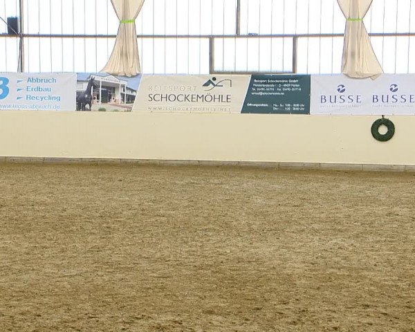 Indoor-Opening Damme 2014