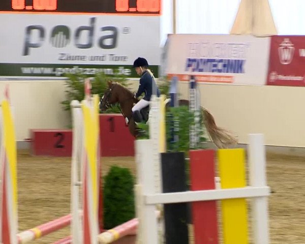 Indoor-Opening Damme 2014