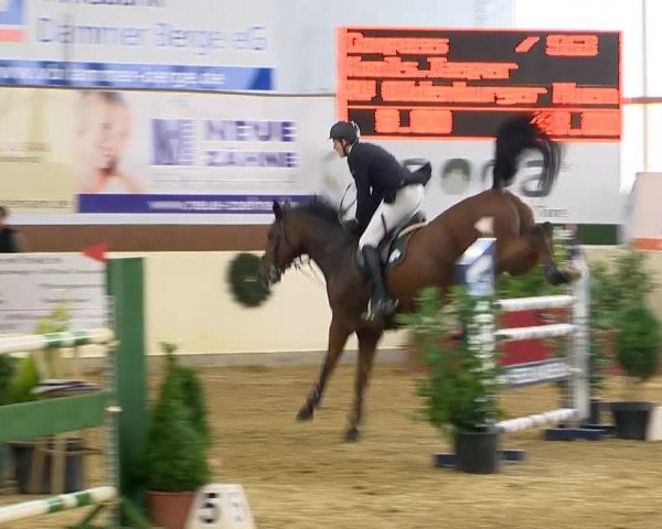 Indoor-Opening Damme 2014